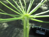 Thumbnail IMG_2095.JPG 