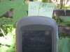 Thumbnail IMG_7951.JPG 