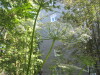 Thumbnail IMG_7959.JPG 