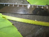 Thumbnail IMG_2040.JPG 