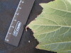 Thumbnail IMG_2045.JPG 