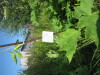 Thumbnail IMG_7963.JPG 