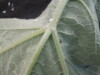 Thumbnail IMG_2021.JPG 