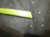 Thumbnail IMG_2024.JPG 