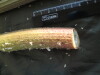 Thumbnail IMG_2028.JPG 