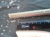 Thumbnail IMG_2030.JPG 