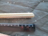 Thumbnail IMG_2031.JPG 