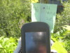 Thumbnail IMG_7999.JPG 