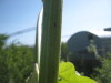 Thumbnail IMG_8002.JPG 