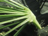 Thumbnail IMG_2159.JPG 