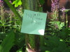 Thumbnail IMG_8005.JPG 