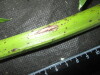 Thumbnail IMG_2362.JPG 