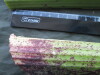 Thumbnail IMG_2366.JPG 