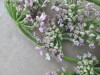 Thumbnail IMG_2372.JPG 