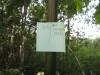Thumbnail IMG_8026.JPG 