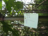 Thumbnail IMG_8028.JPG 