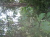 Thumbnail IMG_8032.JPG 