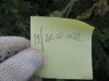 Thumbnail IMG_0582.JPG 