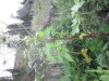 Thumbnail IMG_0588.JPG 