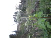 Thumbnail IMG_0589.JPG 