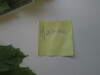 Thumbnail IMG_0692.JPG 