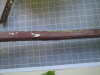 Thumbnail IMG_0717.JPG 