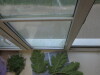 Thumbnail IMG_0720.JPG 