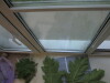 Thumbnail IMG_0732.JPG 