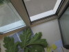 Thumbnail IMG_0733.JPG 