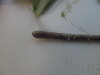 Thumbnail IMG_0737.JPG 