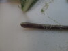 Thumbnail IMG_0738.JPG 