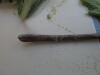 Thumbnail IMG_0739.JPG 