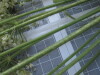 Thumbnail IMG_0770.JPG 