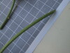 Thumbnail IMG_0785.JPG 