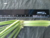 Thumbnail IMG_2347.JPG 