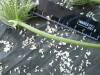 Thumbnail IMG_2350.JPG 