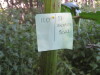 Thumbnail IMG_8044.JPG 