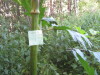 Thumbnail IMG_8045.JPG 