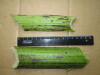 Thumbnail IMG_2980.JPG 