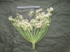 Thumbnail IMG_2990.JPG 