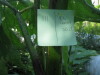 Thumbnail IMG_8058.JPG 