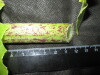 Thumbnail IMG_2550.JPG 