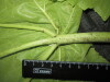 Thumbnail IMG_2553.JPG 