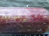 Thumbnail IMG_2564.JPG 