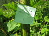 Thumbnail IMG_8069.JPG 
