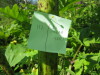 Thumbnail IMG_8070.JPG 