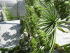 Thumbnail IMG_8084.JPG 