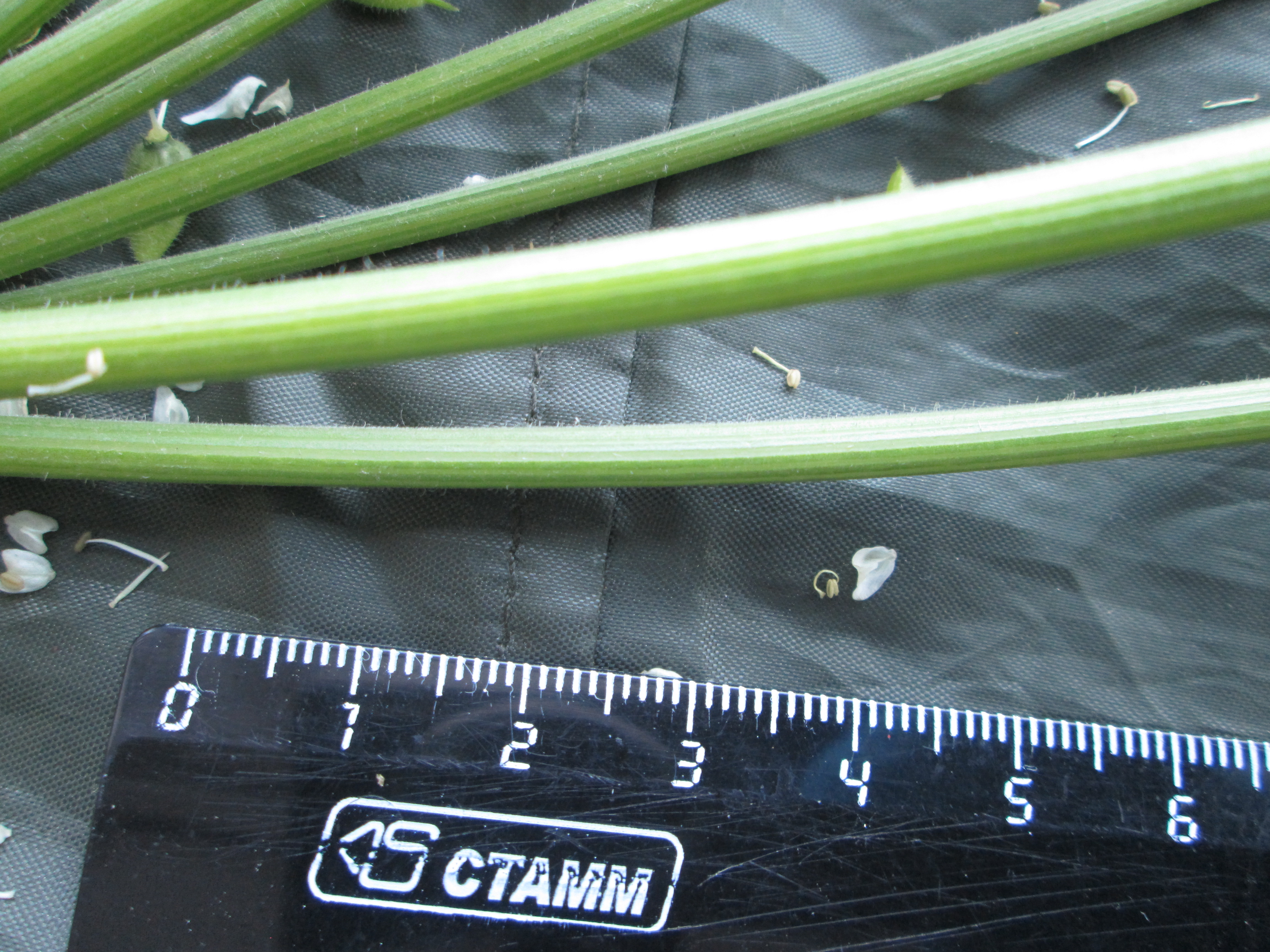 IMG_2557.JPG 