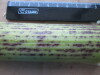 Thumbnail IMG_2570.JPG 