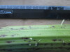 Thumbnail IMG_2571.JPG 
